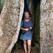 House Sitter - Dana Coleman 