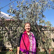 House Sitter - Retired Reliable Lady