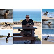 House Sitter - Photographer / Dog Lover