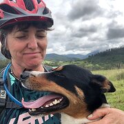 House Sitter - animal sitter