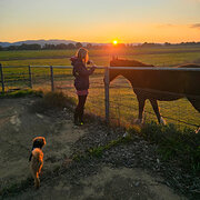 House Sitter - Farm Friend Sitter