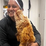 House Sitter - Digital geek who loves animals 