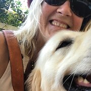 House Sitter - SHAZSTAN THE CARERs and HER DOG