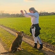 House Sitter - Travelling Pet Sitters