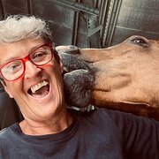 House Sitter - Jenny Lincoln