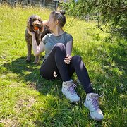 House Sitter - Clean, reliable and ready to care!