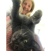 House Sitter - Wendy