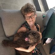 House Sitter - Gaylin Home/Pet Sitting Your Way