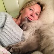 House Sitter - RELIABLE CARER