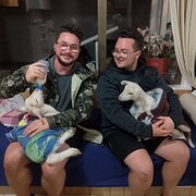 House Sitter - Ensuring Your Home is in Safe Hands