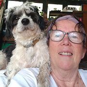 House Sitter - Retired artist, animal lover, gardener.