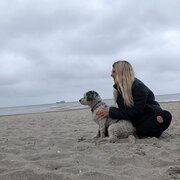 House Sitter - Animal lover 