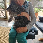 House Sitter - Gabrielle..