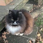 House Sitter - Janice & Phil