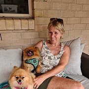 House Sitter - Experienced house sitter & pet carer