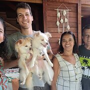 House Sitter - reliable and animal-loving house sitter