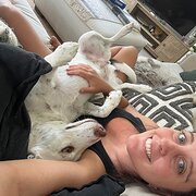 House Sitter - WA Petsitter