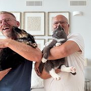 House Sitter - David & Jason Experienced House Sitters 