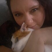 House Sitter - Taking care of what matters to you