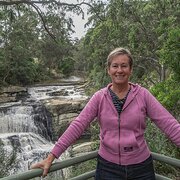 House Sitter - Experienced Home Owners