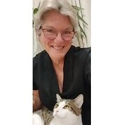 House Sitter - Stop looking. You've found me.