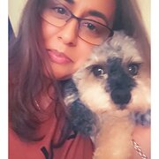 House Sitter - Trusted Care for Your Home & Pets