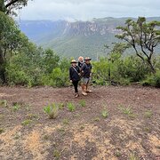 House Sitter - Traveling Family