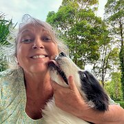 House Sitter - Experienced House Sitter With References