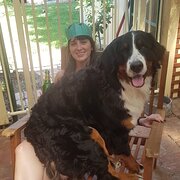 House Sitter - 2Blessed2BeStressed Experienced Sitter