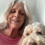 House Sitter - Passionate dog lover