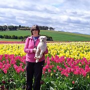 House Sitter - Nature lover keen to help others