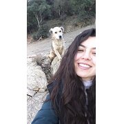 House Sitter - House Sitter