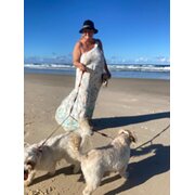 House Sitter - Best care for your fur babies guaranteed