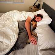 House Sitter - Animal Loving Couple - No Dependants