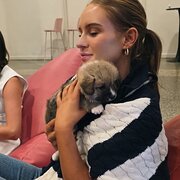 House Sitter - Animal lover 