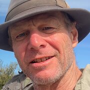 House Sitter - Stephen McDonald