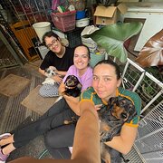 House Sitter - Trois routards français