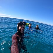 House Sitter - Javier