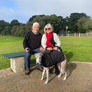 House Sitter - Rosie and O