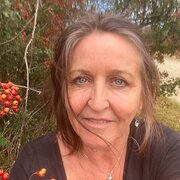 House Sitter - Reliable and trustworthy house sitter.