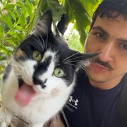 House Sitter - Experienced animal Lover