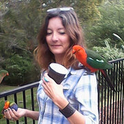 House Sitter - Happy House and Pet Sitter :)