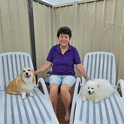House Sitter - Reliable and Caring House & Pet Sitter A
