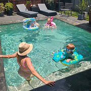 House Sitter - Pet and Plant sitting wanted!