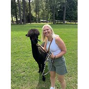 House Sitter - Your new house/pet sitter!