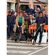 House Sitter - Small young family on an adventure!