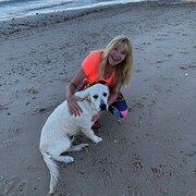 House Sitter - House sitter 