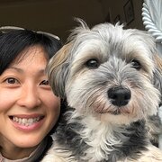 House Sitter - Experienced pet sitter/s