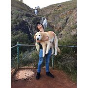 House Sitter - Oliver