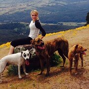 House Sitter - Animal lover with expert care 